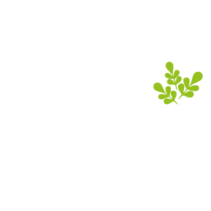 Earth Forest logo